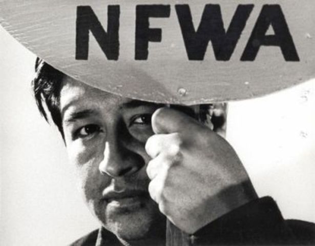 National Farm Workers' Association & The Delano Grape Strike