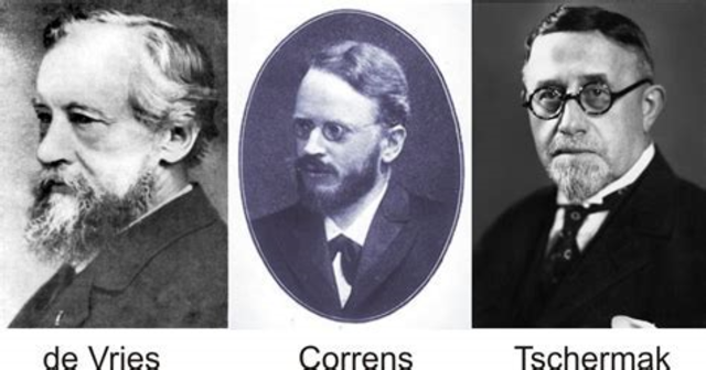 Carl Correns, Hugo de Vries y Erich Von