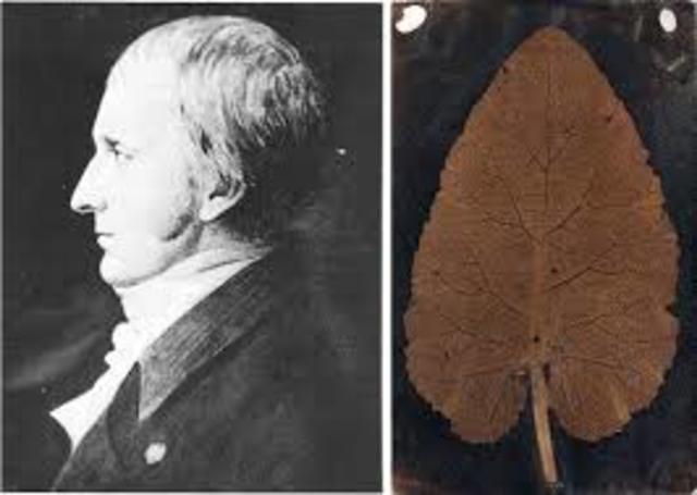 THOMAS WEDGWOOD Y HUMPHRY DAVY