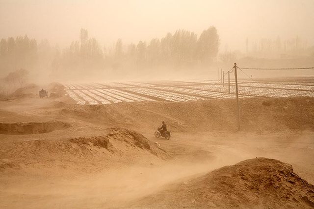 Dust Bowl(Farmers)