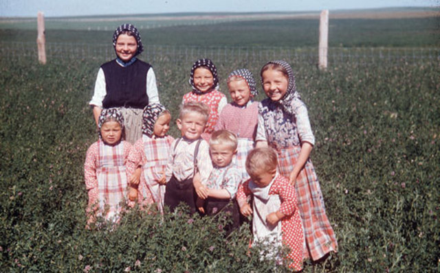 Peace for the Hutterites