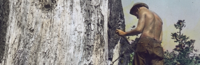 Civilian Conservation Corps.