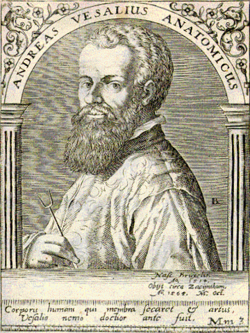 Andres Vesalio