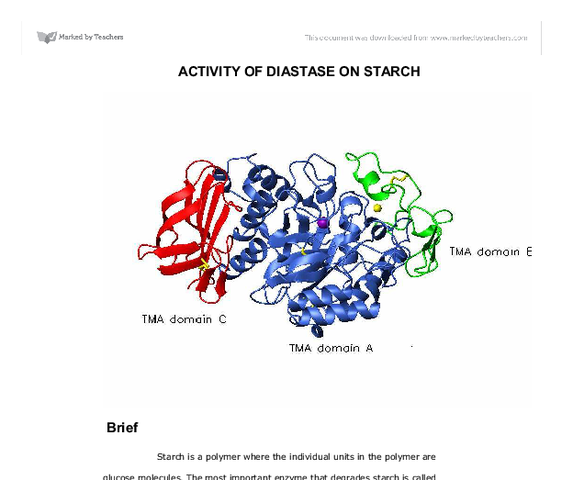 Enzyme Diastase