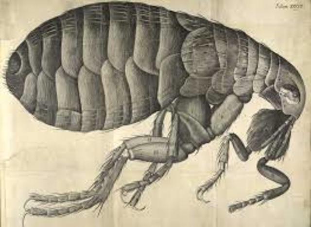 Micrographia