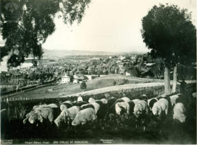 Colonia Nahuel Huapi