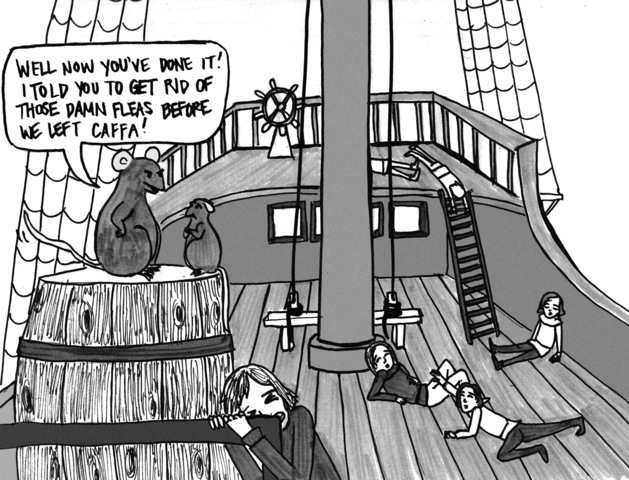 From Asia to the Mediterranean