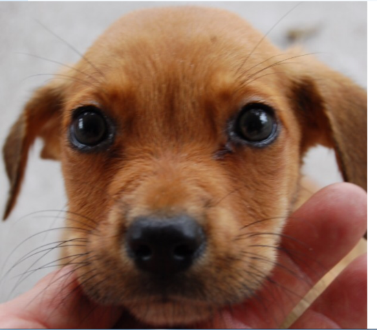 The Day we got Sneekers