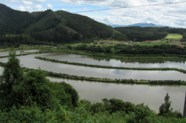 nos mudamos de ciudad