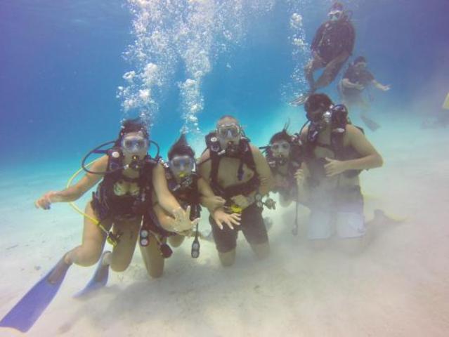 BUCEO