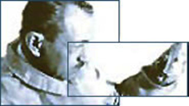 Creation of L'Oréal