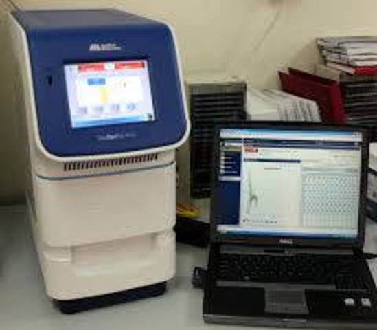 DESARROLLO DEL SISTEMA PCR