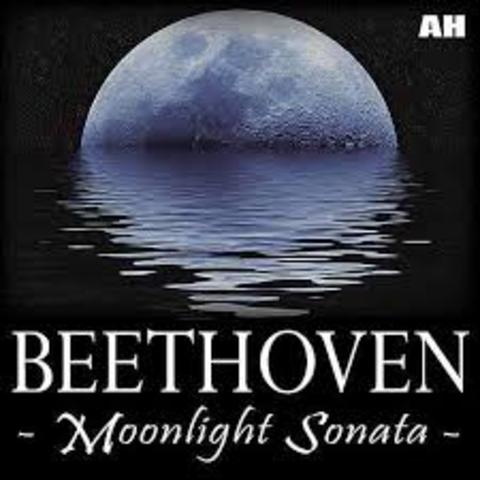 Beethoven created “moonlight sonata”