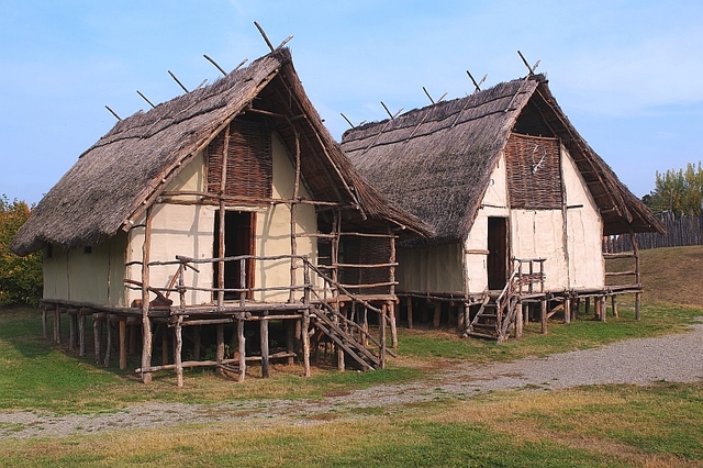 Costruzione delle palafitte