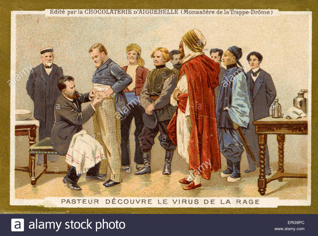 The Germ Theory of disease