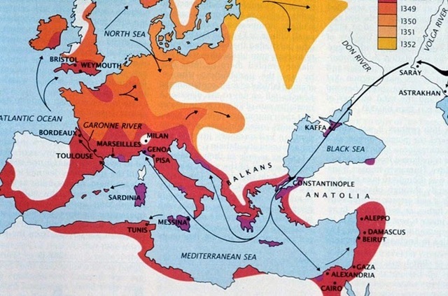 Plague traveling through the Mediterranean