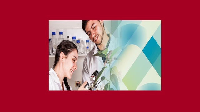 DOCTORADOS VINCULADOS A LA INVESTIGACION