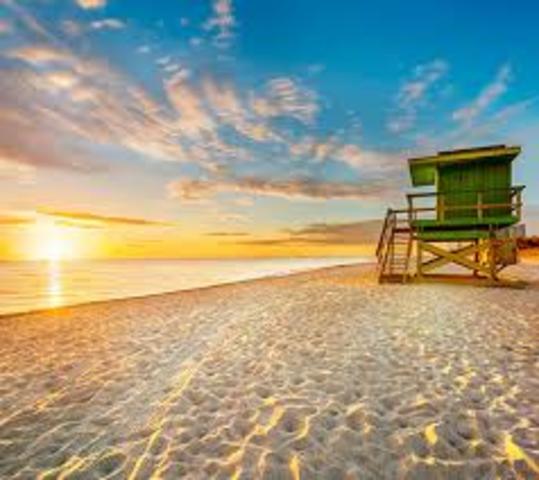 Me casaré en la playa. Comenzaré una familia después de algunos años.