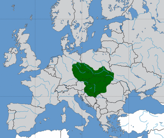 Great Moravia was formed