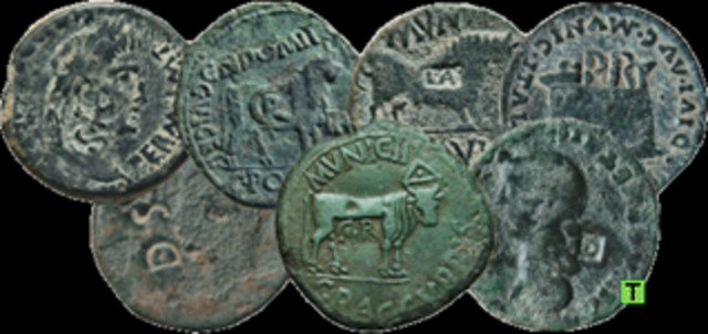 Introduccion de la moneda