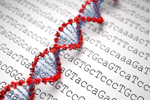 Human genome is fully sequenced