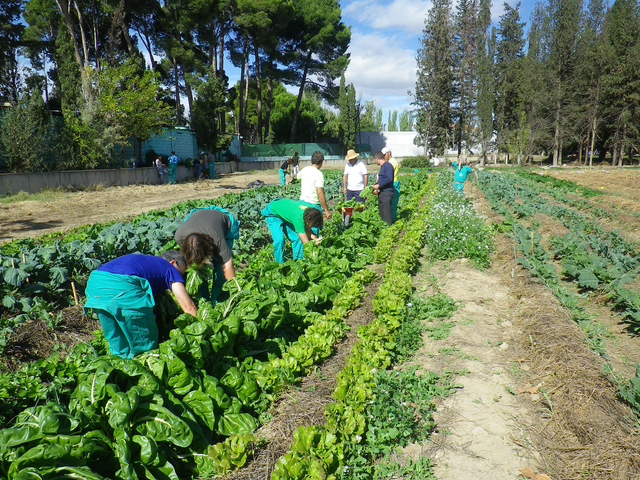 SE REORGANIZA EL MEN