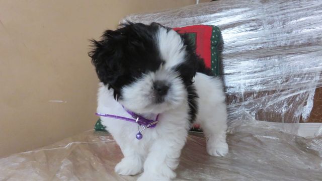 regalo de mis padres.