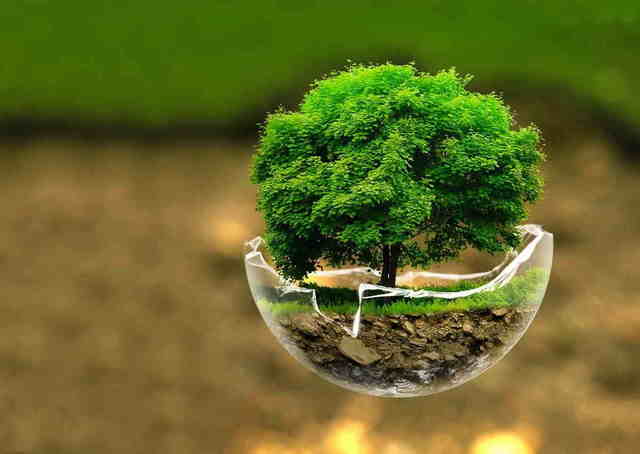 Día Internacional de la Madre Tierra