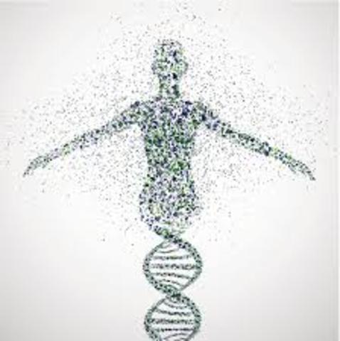 Human genome is fully sequenced