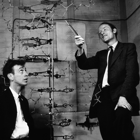 Watson and Crick Propose the Double Helix Model DNA Structure