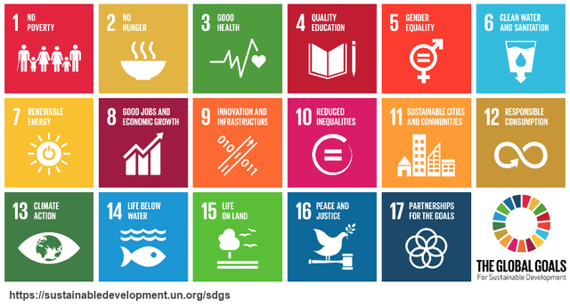 Decenio de la Diversidad Biológica.