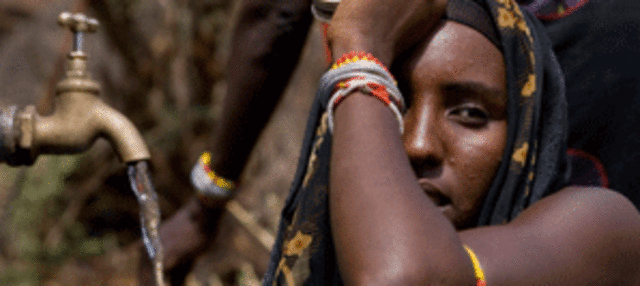 Decenio de las Naciones Unidas para los Desiertos y la Lucha contra la Desertificación.