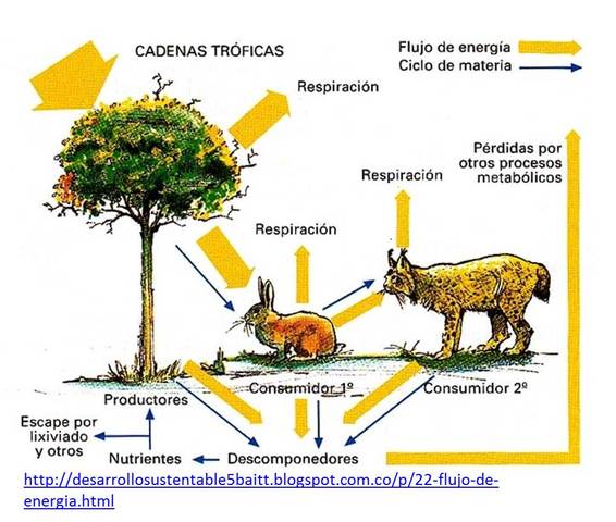 FLUJO DE MATERIALES Y NUTRIENTES