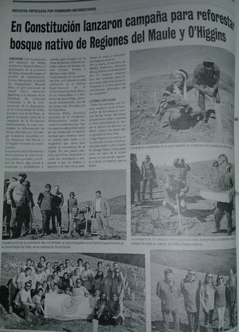 En Constitución lanzaron campaña para reforestar bosque nativo de Regiones del Maule y O´higgins