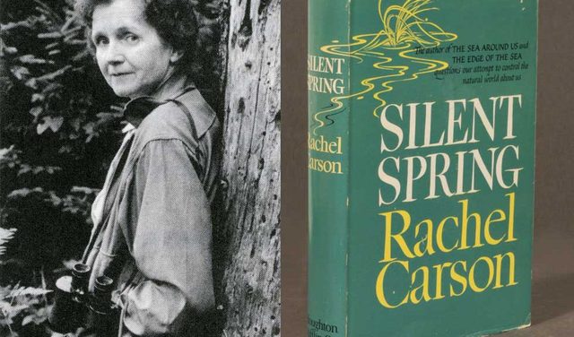 Rachel Carson writes silent Spring