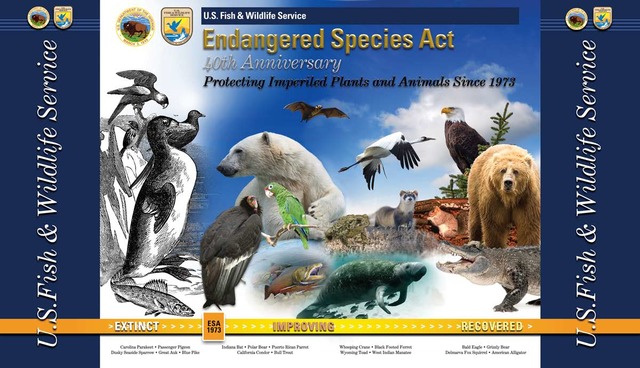Endangered Species Act