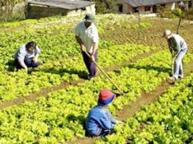 agricultura