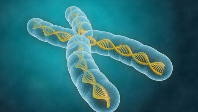 Privatización del Genoma Humano