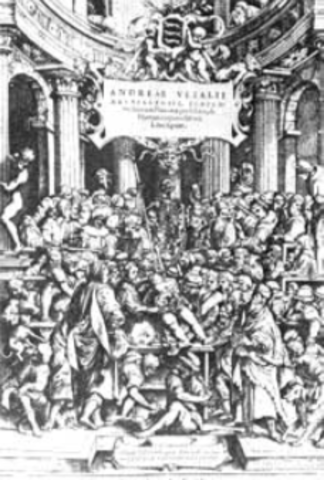 Sobre la estructura del cuerpo humano de Andrés Vesalio