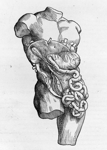 'De Humani Corporis Fabrica'