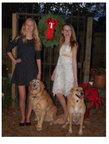 Another Great Christmas