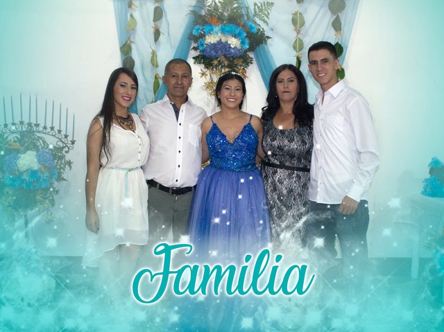 mis 15