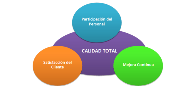 MEJORA CONTINUA DE LA CALIDAD TOTAL.
