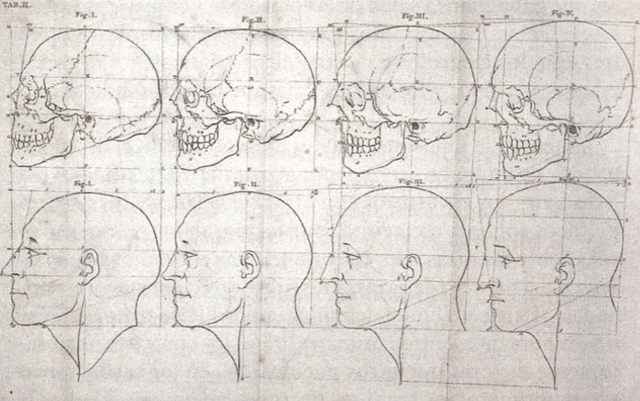 The works of the late Professor Camper, on the connexion between the Science of Anatomy and the Arts os Darwing, Painting, Statuary