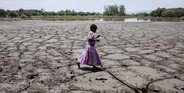 2015: Año internacional de los Suelos