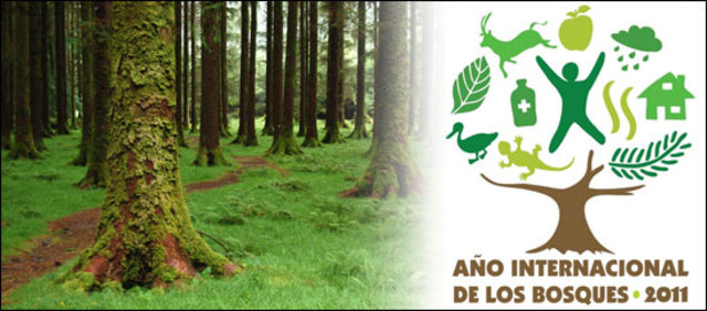 Año Internacional de los Bosques