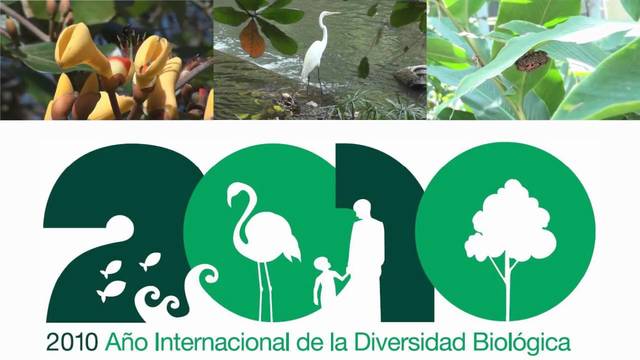 Año Internacional de la Diversidad Biológica