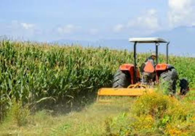 Programa Nacional de Modernización del Campo