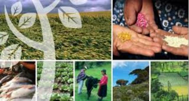 Programa Nacional Agropecuario y de Desarrollo Rural