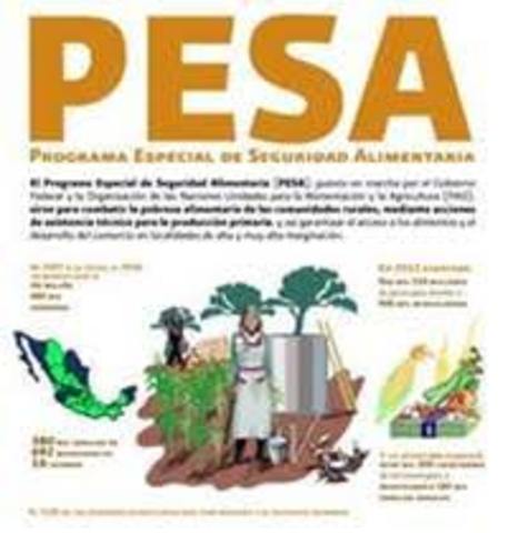 PESA (Programa Especial para la Seguridad Alimentaria)